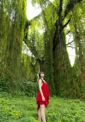 微笑pasta高清全集免费观看_吉吉影音完整版在线观看