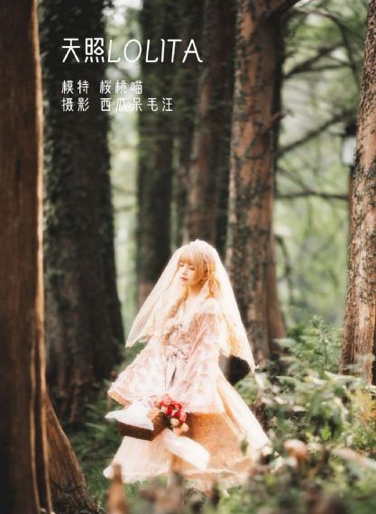 寡妇的一日三餐_电视剧迅雷手机免费观看