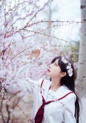 年轻的岳母伦理片_午夜福利视频不卡在线观看